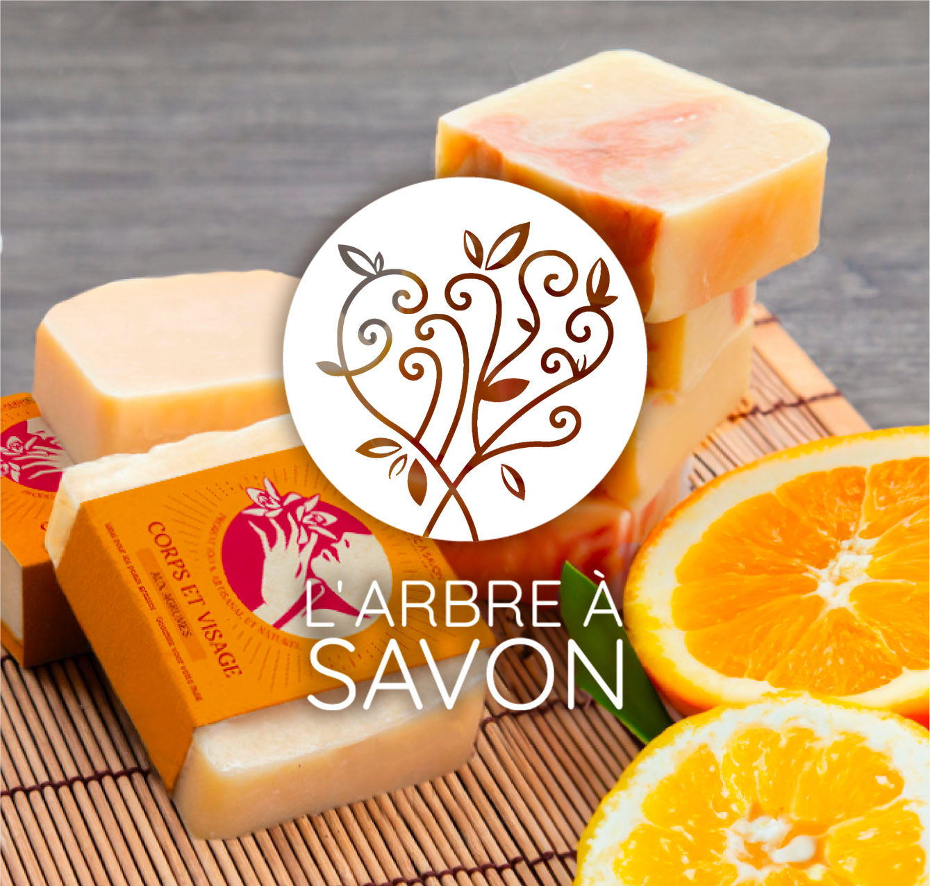 Arbre_à_Savons_preview